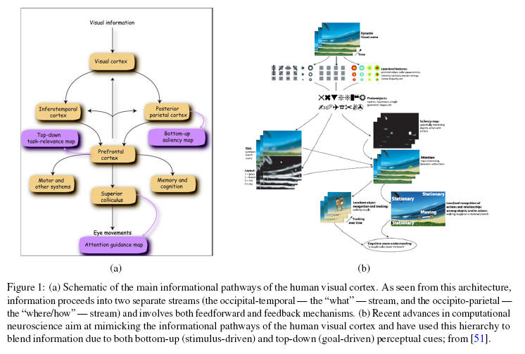 A Framework for Bounded Rationality Autonomy Using Neuromorphic Decision and Action Models